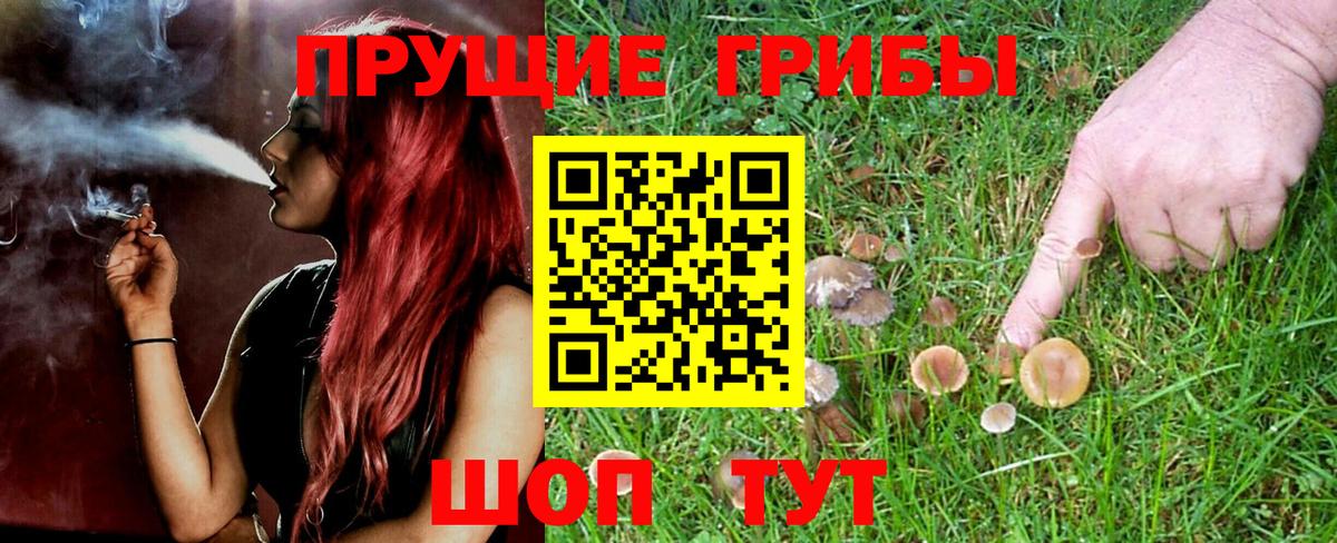 Костомукша  Псилоцибиновые грибы Psilocybine cubensis  где купить наркоту  Вход с VPN 