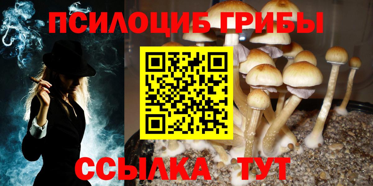 Псилоцибиновые грибы MAGIC MUSHROOMS Костомукша